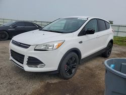 2014 Ford Escape SE en venta en Mcfarland, WI