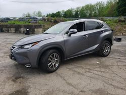 Salvage cars for sale at Marlboro, NY auction: 2016 Lexus NX 200T Base