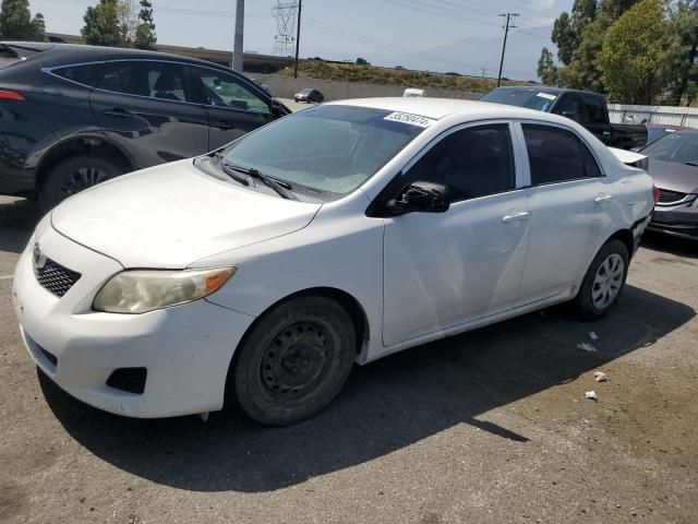 2009 Toyota Corolla Base