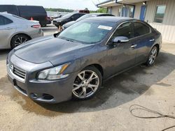 Salvage cars for sale at Memphis, TN auction: 2012 Nissan Maxima S