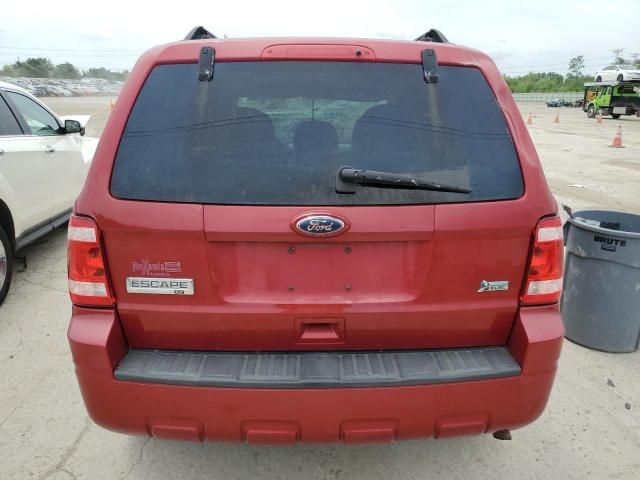 2010 Ford Escape XLT