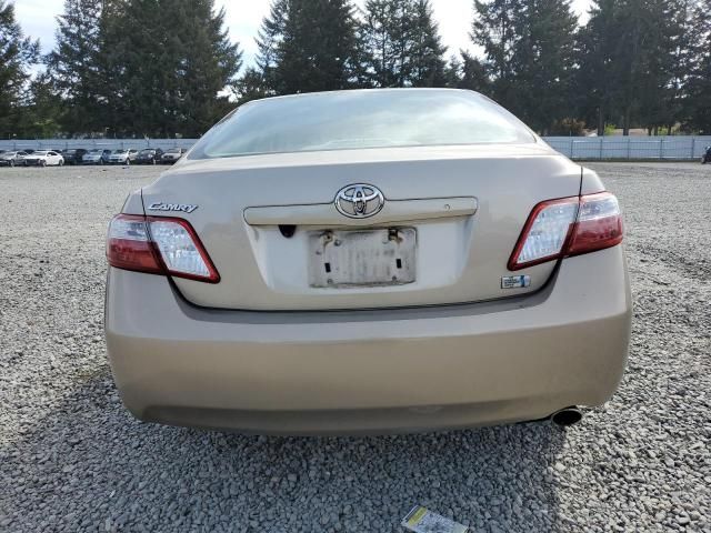 2008 Toyota Camry Hybrid