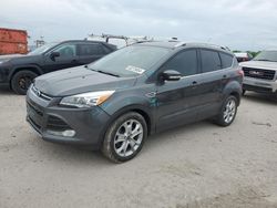 Salvage cars for sale at Indianapolis, IN auction: 2016 Ford Escape Titanium