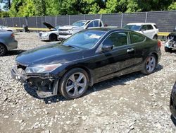 Honda Accord exl salvage cars for sale: 2012 Honda Accord EXL