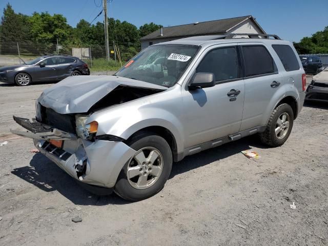 2010 Ford Escape XLT