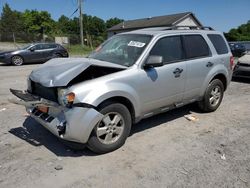 Ford Vehiculos salvage en venta: 2010 Ford Escape XLT