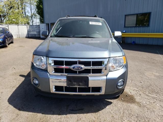 2010 Ford Escape Limited