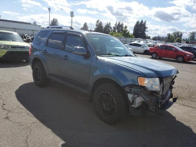 2010 Ford Escape Limited