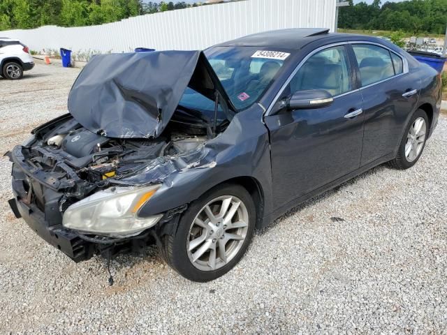 2009 Nissan Maxima S