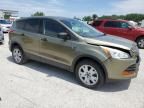 2013 Ford Escape S