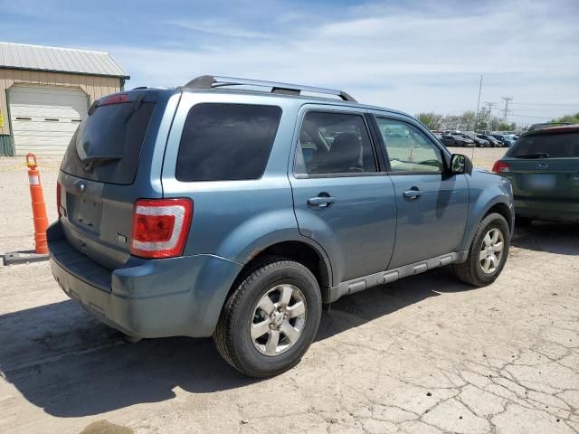 2010 Ford Escape Limited