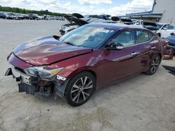 Salvage cars for sale from Copart Memphis, TN: 2016 Nissan Maxima 3.5S