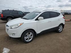 Salvage cars for sale at Brighton, CO auction: 2013 Hyundai Tucson GLS