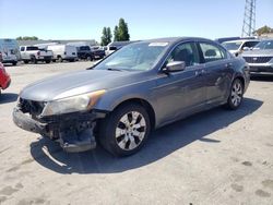 Salvage cars for sale from Copart Hayward, CA: 2008 Honda Accord EX