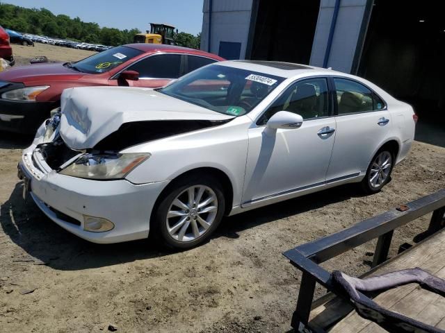 2010 Lexus ES 350