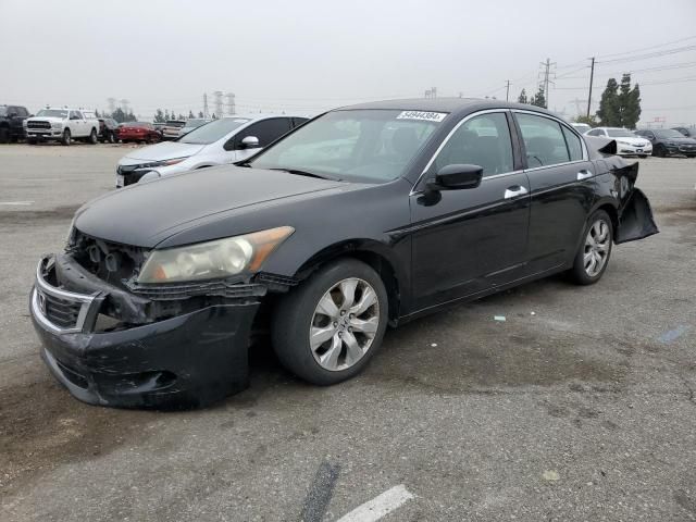 2010 Honda Accord EXL