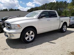 Salvage cars for sale from Copart Seaford, DE: 2009 Dodge RAM 1500