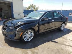 Salvage cars for sale at Anthony, TX auction: 2024 Cadillac CT4 Premium Luxury