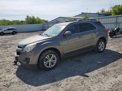 Salvage cars for sale from Copart Albany, NY: 2012 Chevrolet Equinox LT