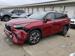 Salvage cars for sale at Louisville, KY auction: 2022 Toyota Highlander XLE