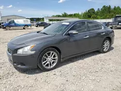 Nissan salvage cars for sale: 2010 Nissan Maxima S