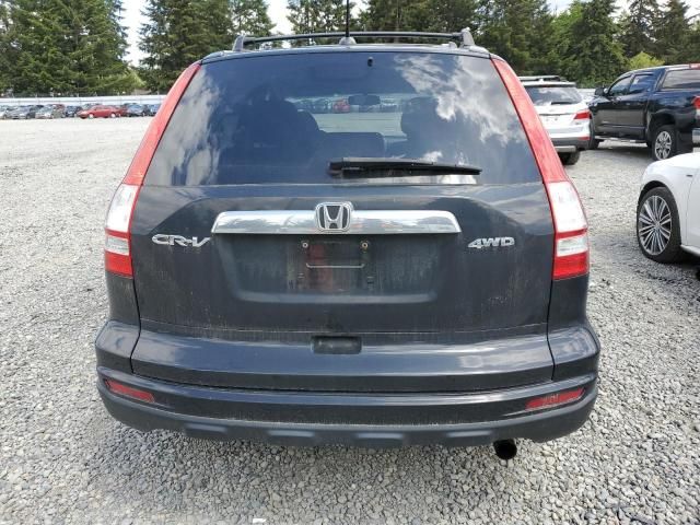 2010 Honda CR-V EXL