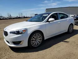 Salvage cars for sale at Rocky View County, AB auction: 2015 KIA Cadenza Premium