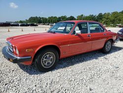 Salvage cars for sale at Houston, TX auction: 1980 Jaguar XJ6