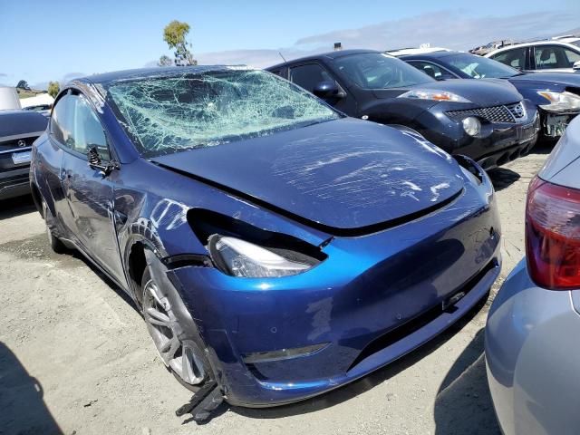 2020 Tesla Model Y