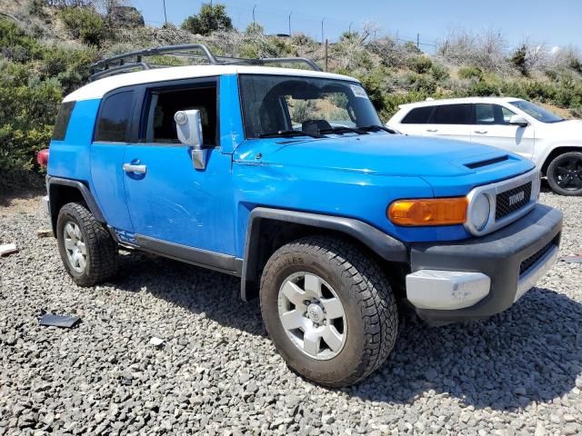 2007 Toyota FJ Cruiser