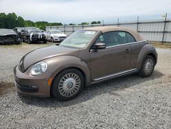 Vehiculos salvage en venta de Copart Mocksville, NC: 2013 Volkswagen Beetle