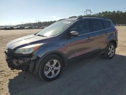 Salvage cars for sale at Greenwell Springs, LA auction: 2014 Ford Escape SE