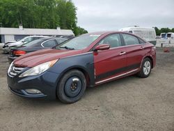 Salvage cars for sale at East Granby, CT auction: 2013 Hyundai Sonata Hybrid