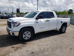 Salvage cars for sale from Copart Miami, FL: 2021 Toyota Tundra Double Cab SR/SR5