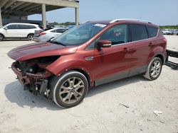 Salvage cars for sale from Copart West Palm Beach, FL: 2015 Ford Escape Titanium