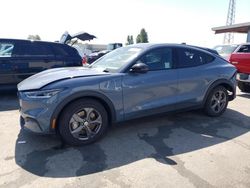 Salvage cars for sale at Hayward, CA auction: 2023 Ford Mustang MACH-E Select