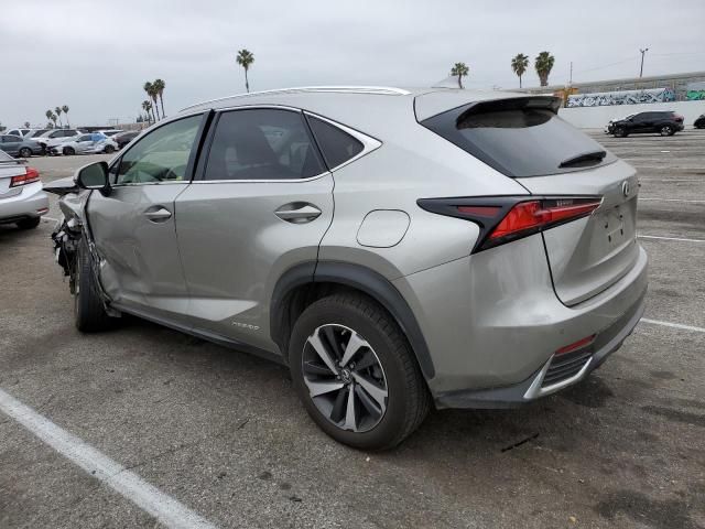 2021 Lexus NX 300H Base