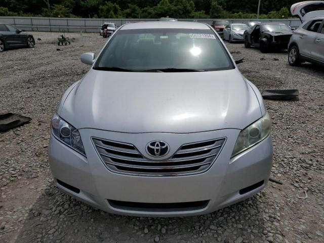 2009 Toyota Camry Hybrid