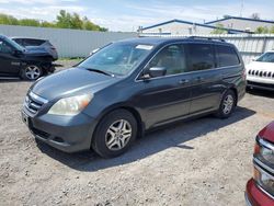Salvage cars for sale from Copart Albany, NY: 2006 Honda Odyssey EX