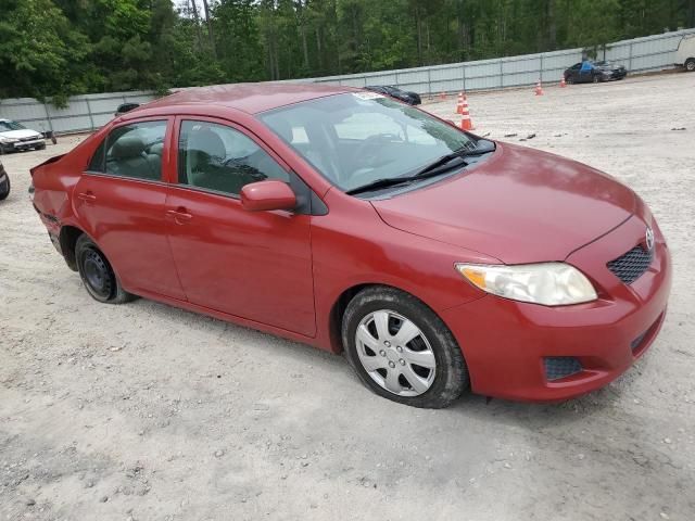 2010 Toyota Corolla Base