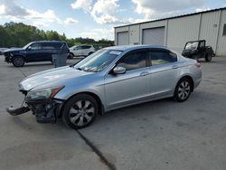 Salvage cars for sale at Gaston, SC auction: 2008 Honda Accord EXL