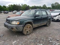 Subaru salvage cars for sale: 2003 Subaru Forester 2.5X