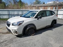 Salvage cars for sale from Copart Albany, NY: 2019 Subaru Forester