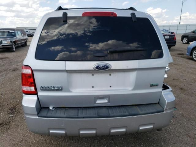 2011 Ford Escape XLT