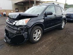 Honda crv salvage cars for sale: 2010 Honda CR-V EXL