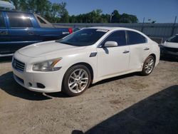 Salvage cars for sale at Spartanburg, SC auction: 2011 Nissan Maxima S