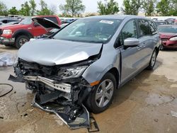 Salvage cars for sale at Bridgeton, MO auction: 2019 Honda Odyssey EXL