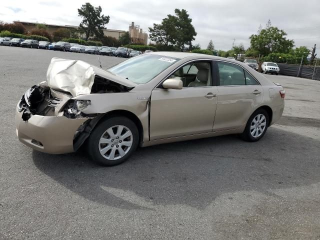 2009 Toyota Camry Hybrid