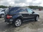 2010 Mercedes-Benz ML 350