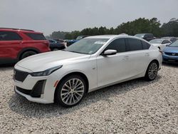 Cadillac salvage cars for sale: 2021 Cadillac CT5 Premium Luxury